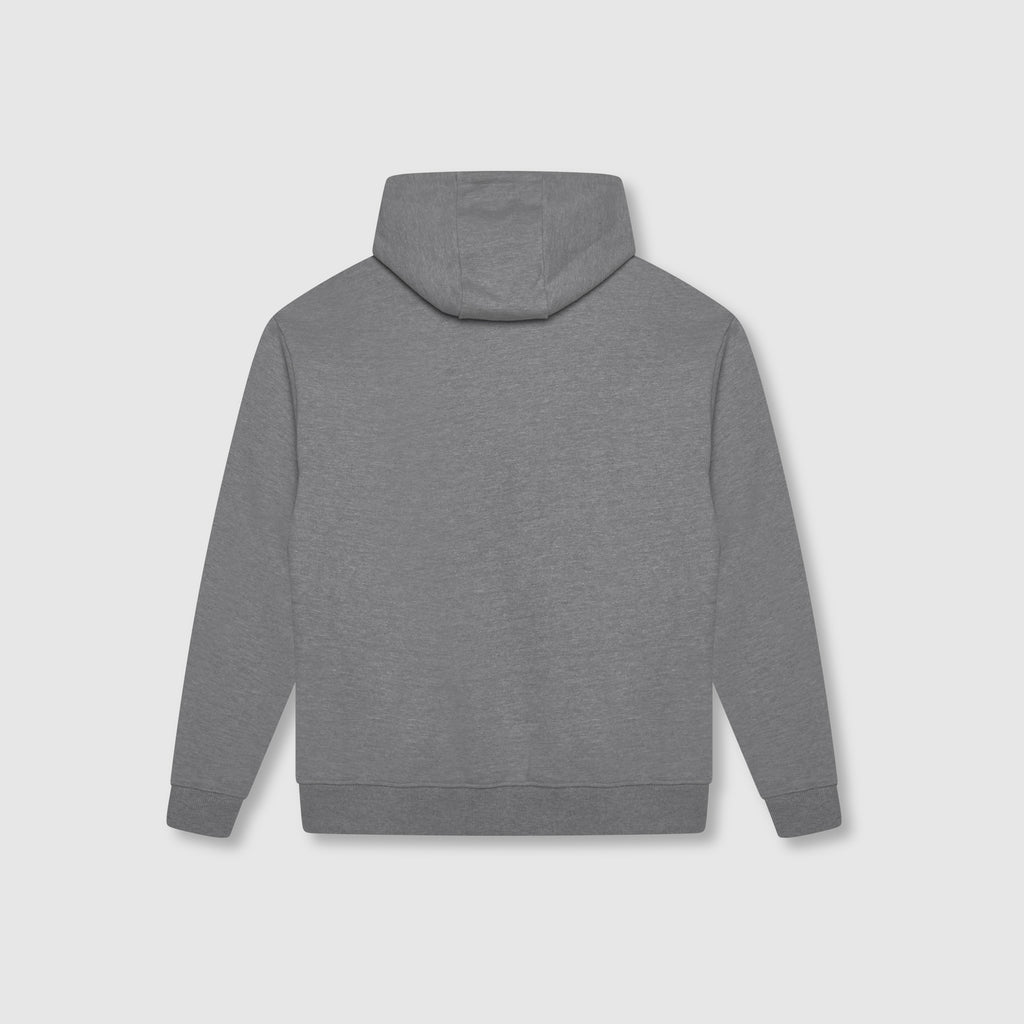Astori Hoodie Grijs