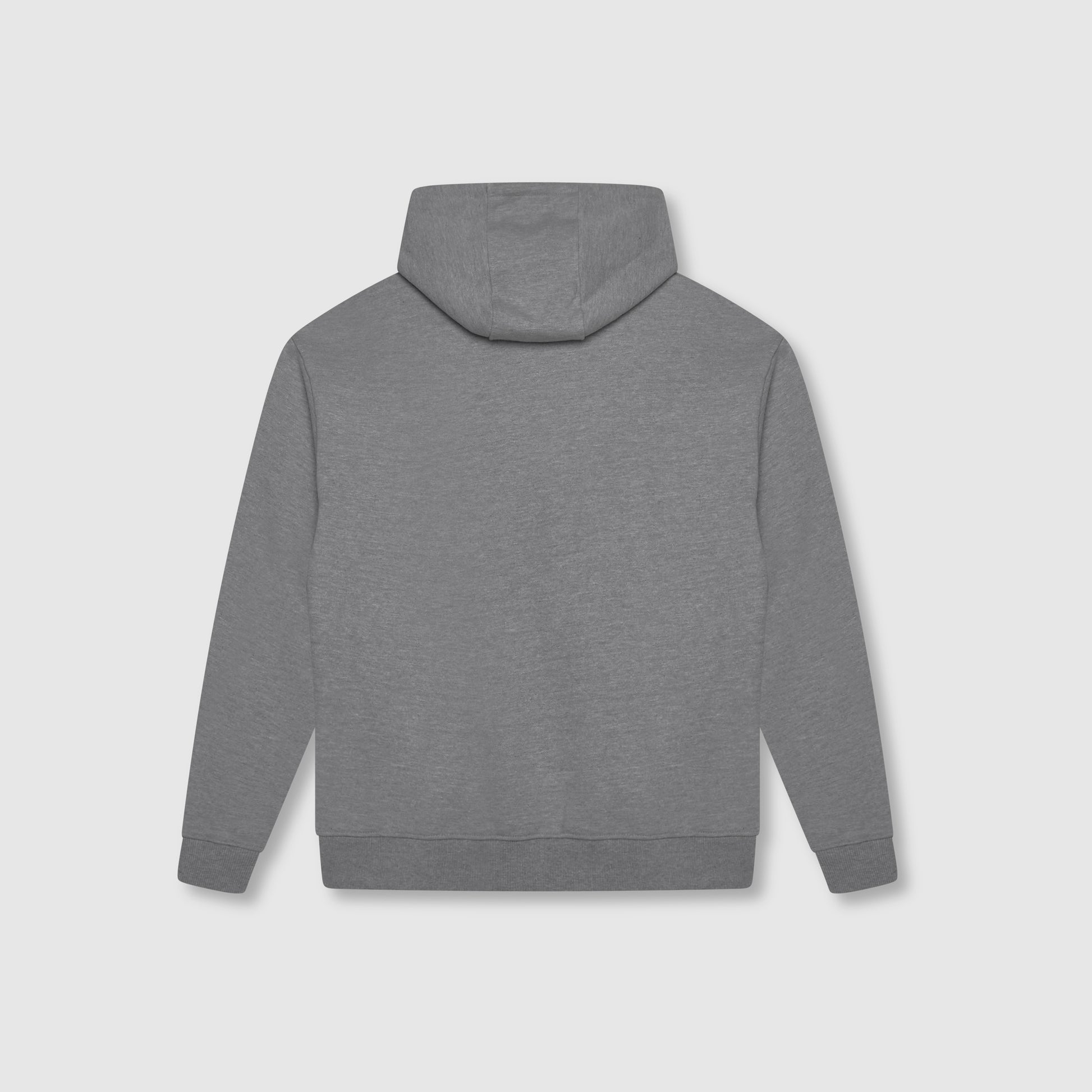 Astori Hoodie Grijs