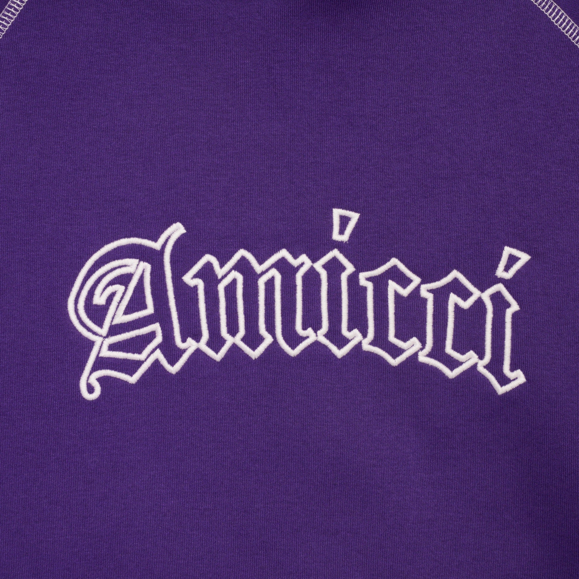 Amicci Hoodies Pagani Hoodie Purple