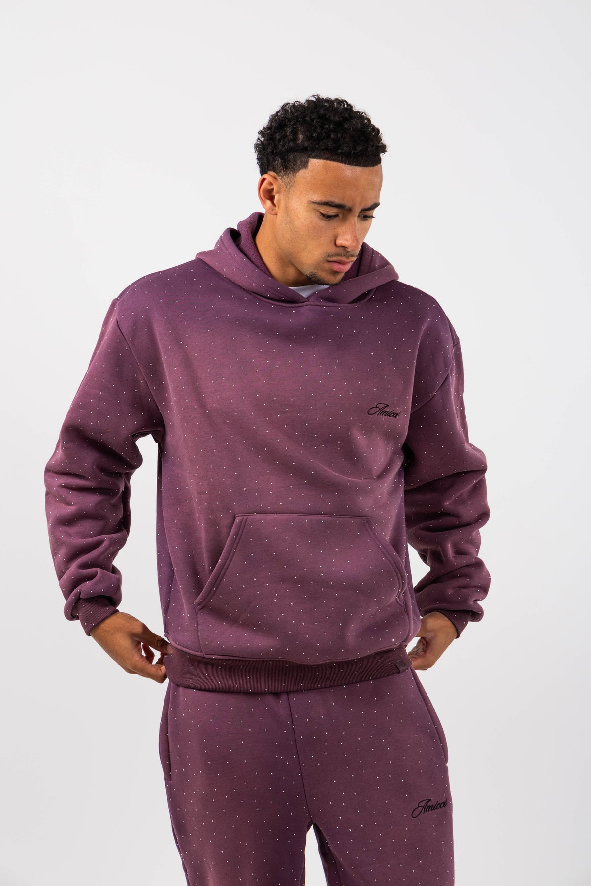 Massimo Embellished Hoodie Plum