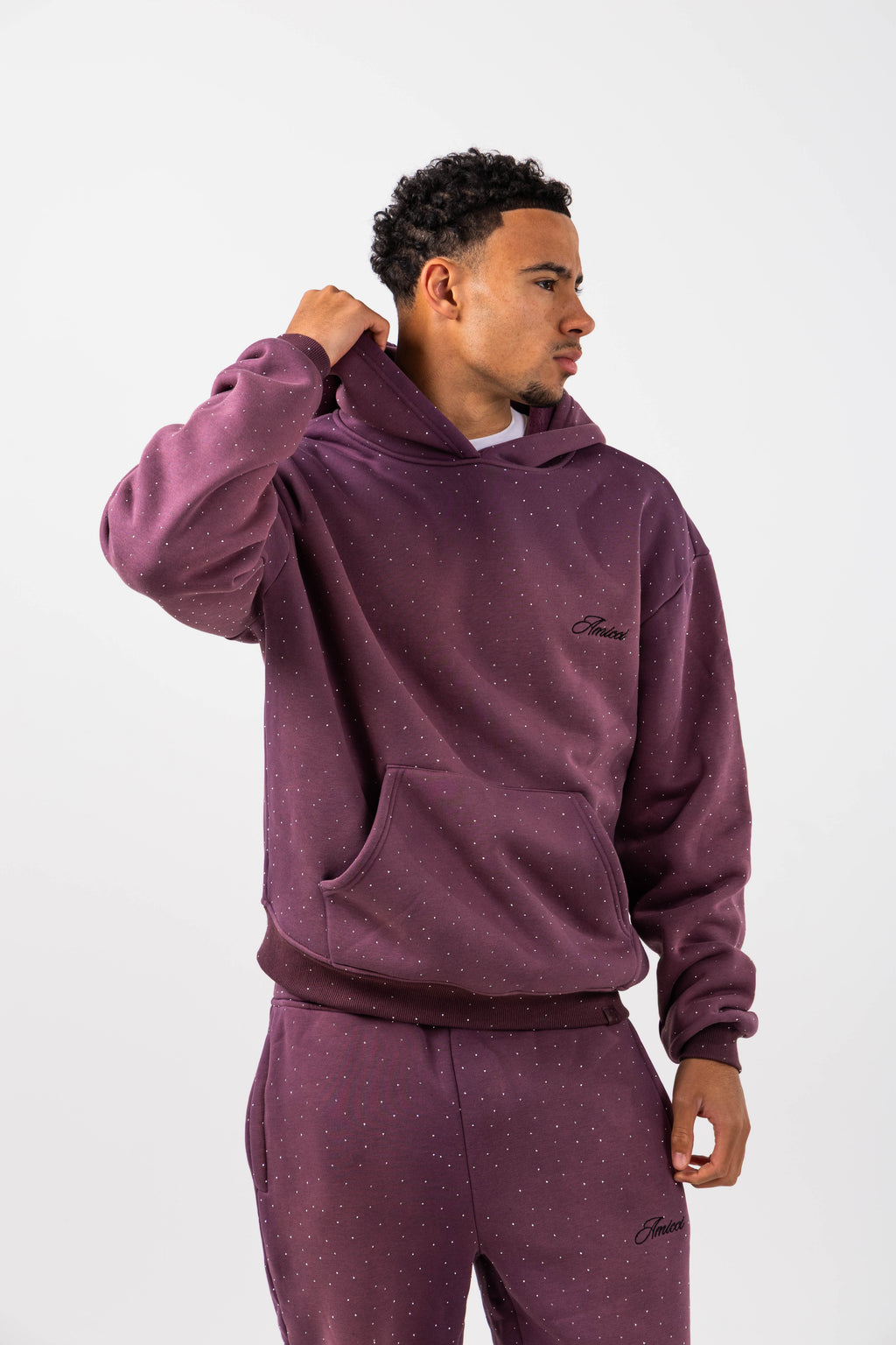 Massimo Embellished Hoodie Plum