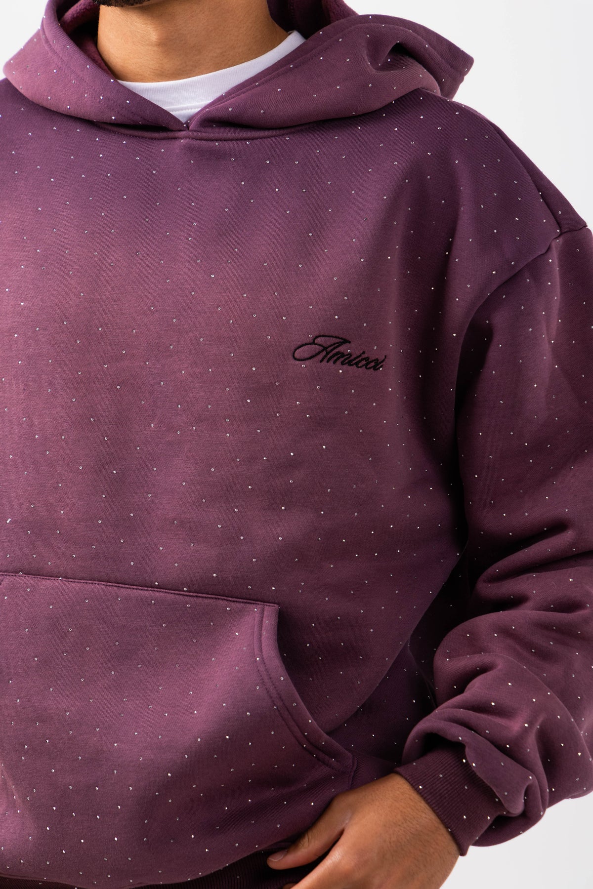 Massimo Embellished Hoodie Plum